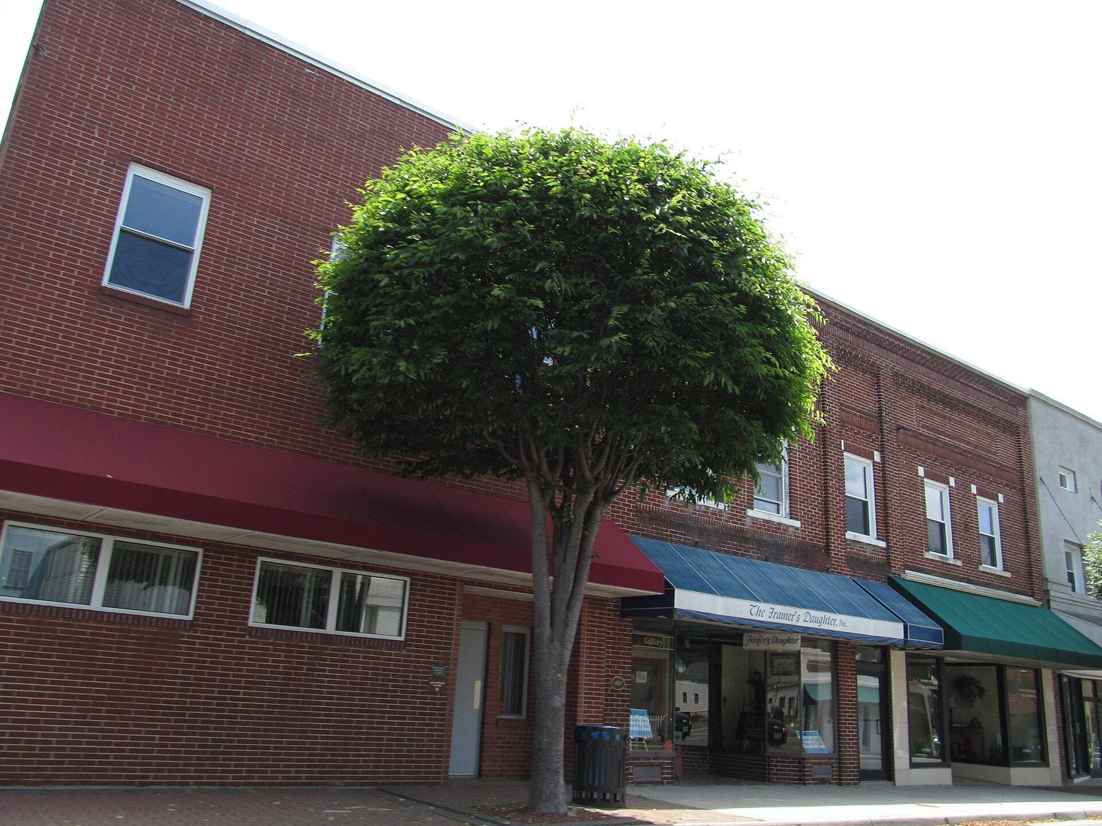Galax, Virginia (8126592971)