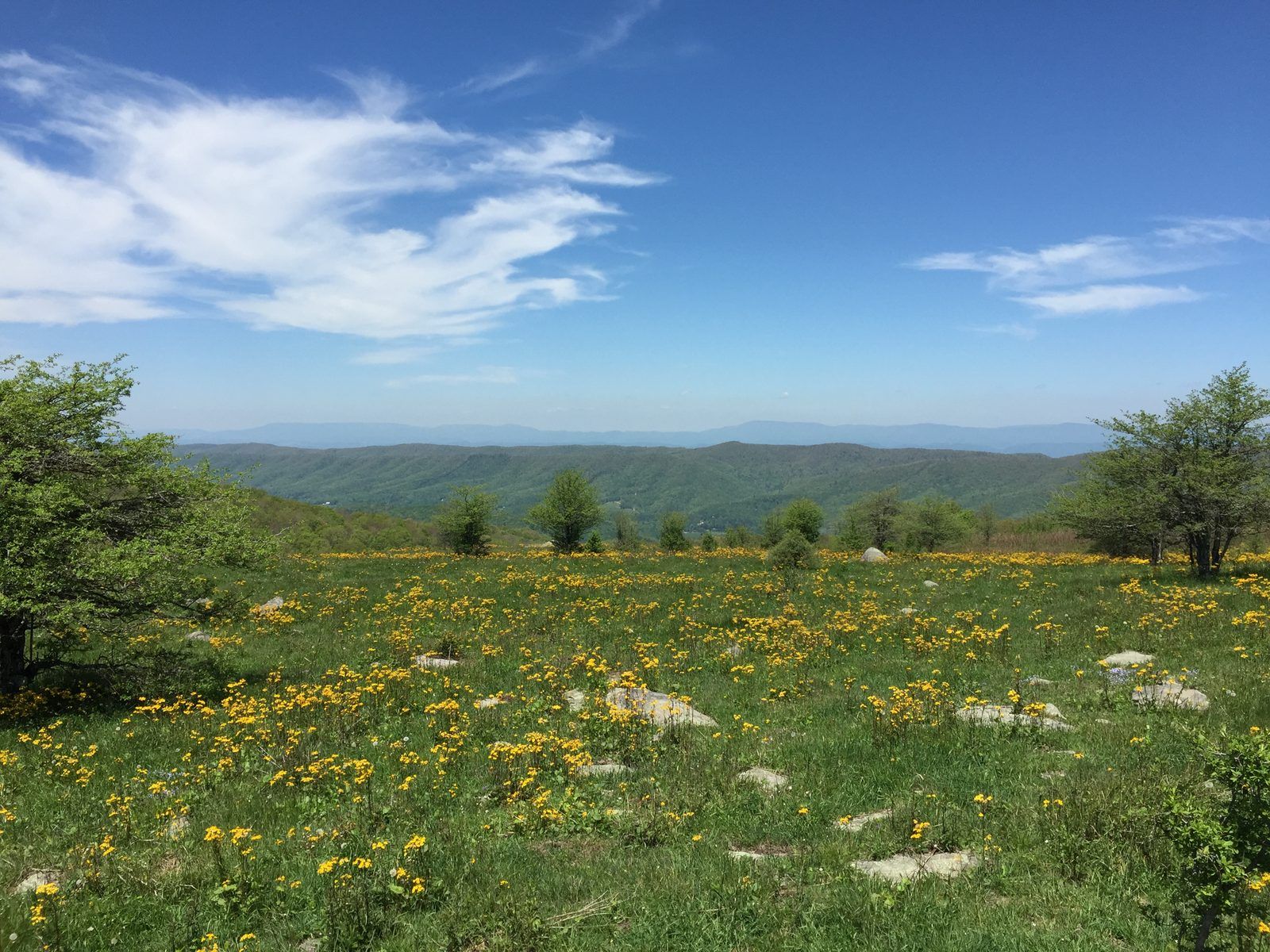2017-05-16 12 39 22 View northwest across a field from the Appalachian Trail in Elk Garden, within the Mount Rogers National Recreation Area along the border of Grayson County, Virginia and Smyth County, Virginia